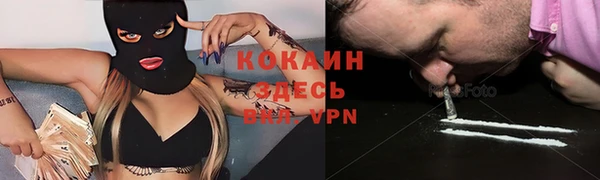 прущий лед Бородино