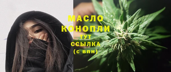 прущий лед Бородино